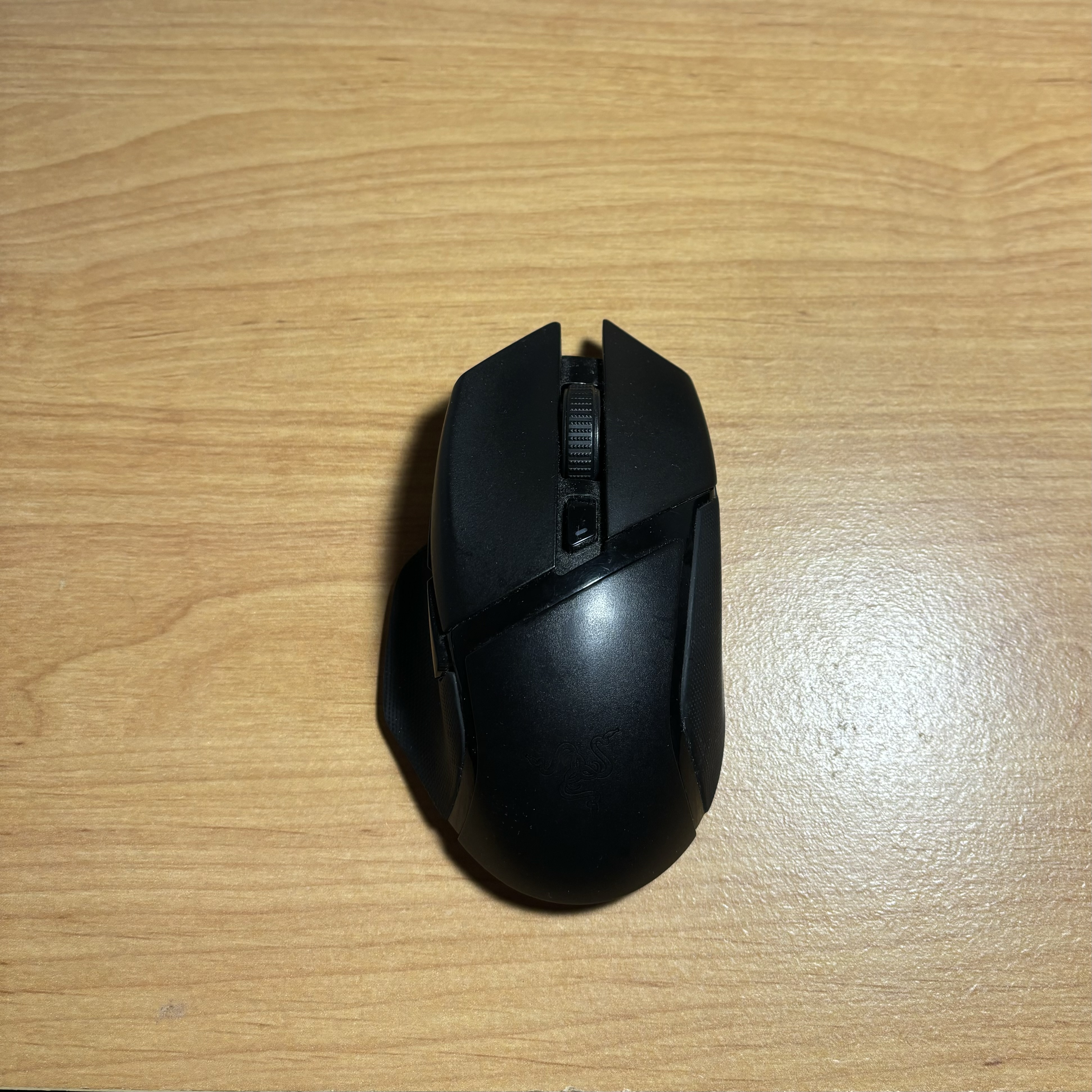 Mouse 1
